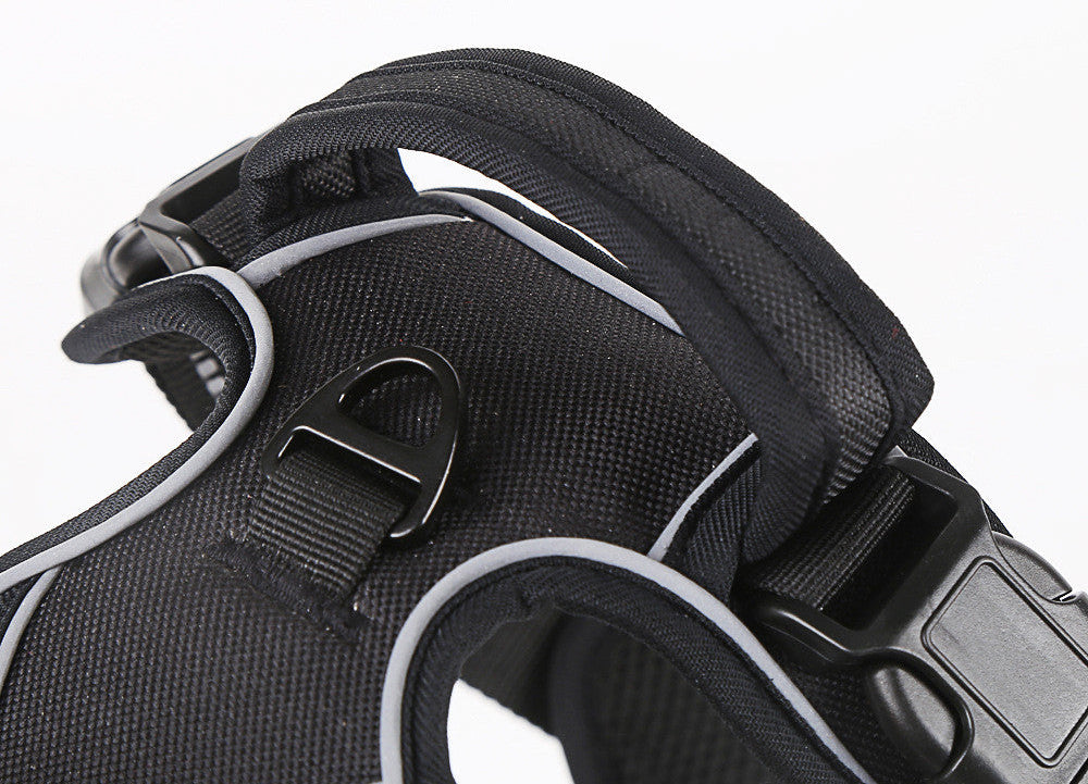 Harnais Anti-Traction Premium PawHaus™ – Confort & Sécurité & Réglage